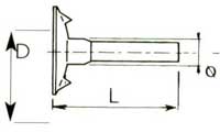 Śruba